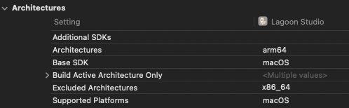 Lagoon Studio running locally on Apple Silicon with hardware-accelerated processing